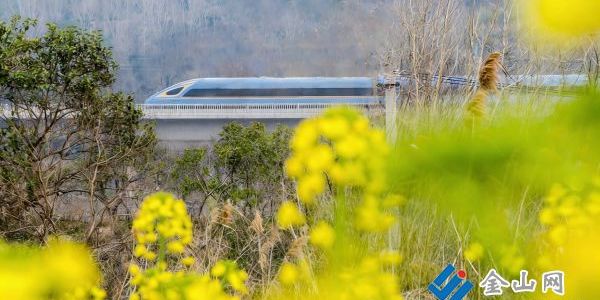 高鐵列車穿行鎮(zhèn)江春日山野