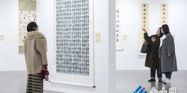 翰墨青春展風(fēng)采 鎮(zhèn)江新文藝群體書法作品亮相