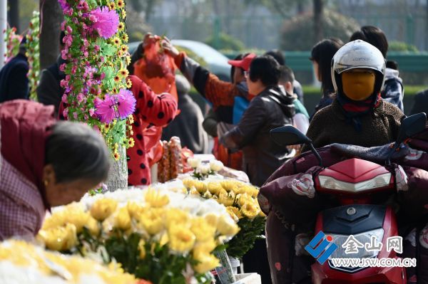 downLoad-20260323075044