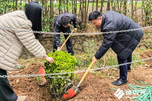 f90d5a8b23e9f1e99697f014a75cb6f0_origin