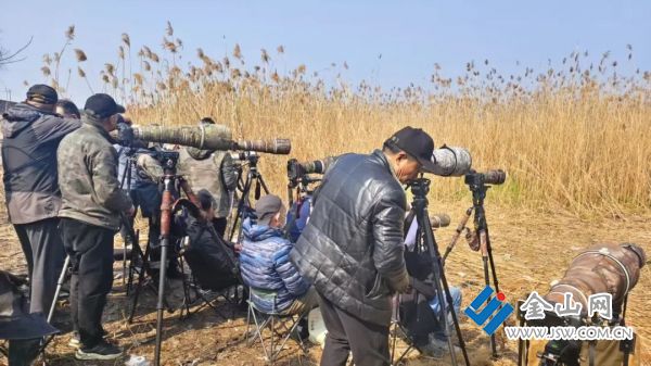 downLoad-20260324080002