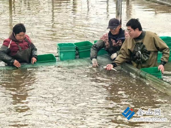 downLoad-20260324080156