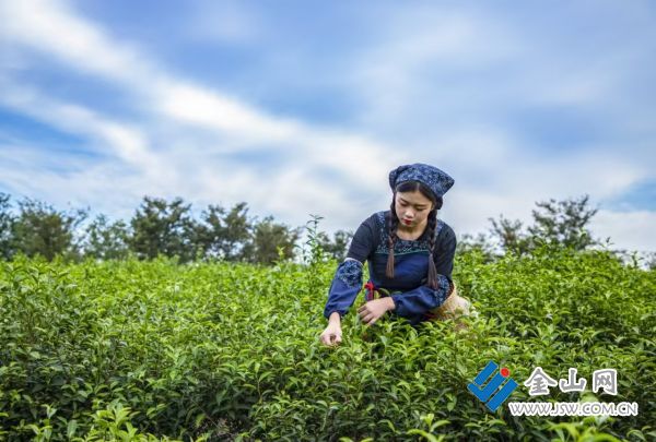 1e0df7622686112863d99683330238d