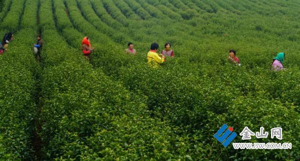 4fc07bd841a30ef9e8e05c7f938dbac