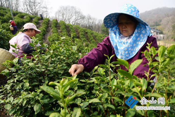 downLoad-20260325064158