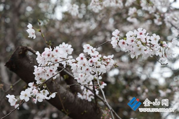 downLoad-20260325071724