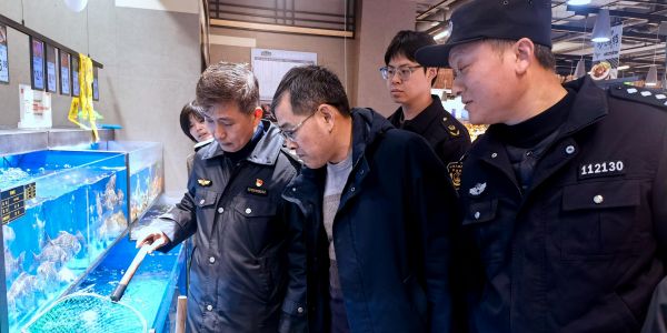 聚焦農(nóng)產(chǎn)品質(zhì)量安全 守護(hù)群眾“菜籃子”