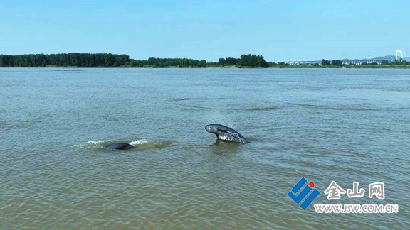 9896c5c29d414b49a8f559a91a9c2ff2