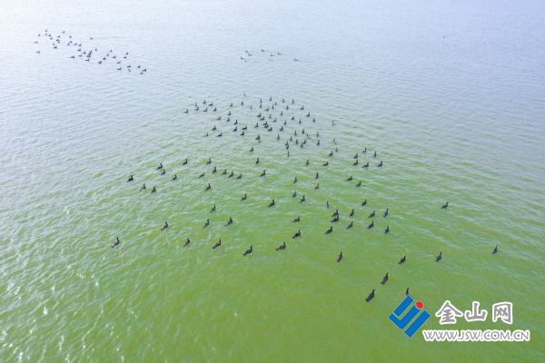 93d66c5eb8c44e5c833cd3d82ce9220d