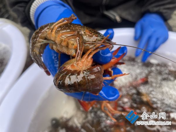 downLoad-20260327074323