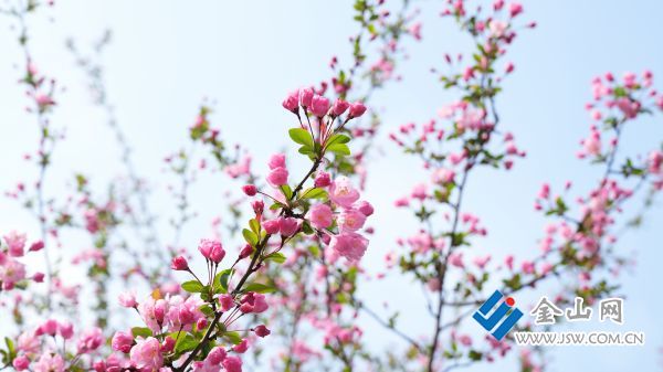 downLoad-20260327074532