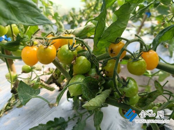 2f0da6b8d73b45dd98774eb4857f3c6c