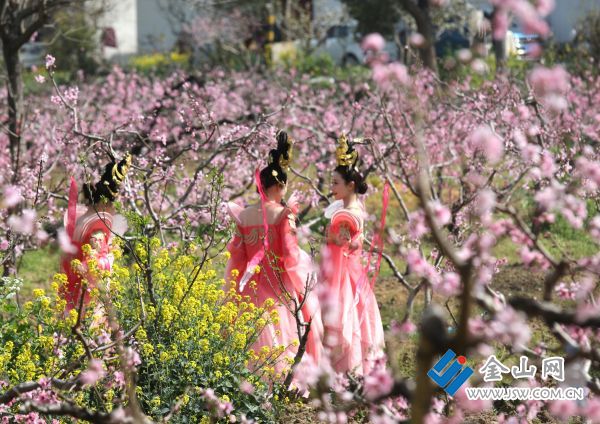 downLoad-20260329070101