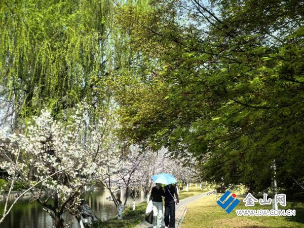 downLoad-20260329073622