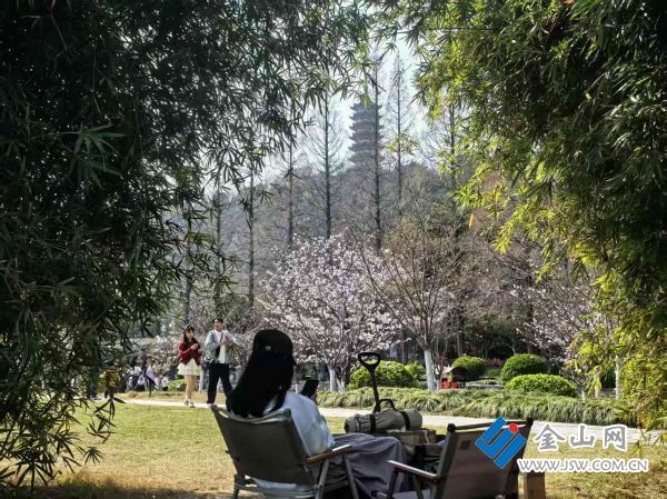 downLoad-20260330065923