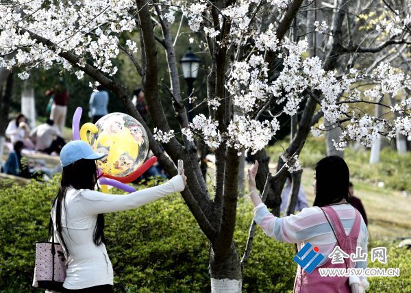 downLoad-20260330075446