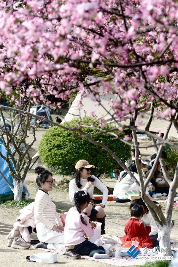 downLoad-20260330075449