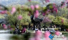 南山春濃 市民樂(lè)享好時(shí)光