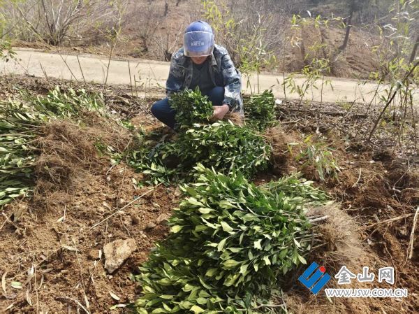 2e0f71a17b7b0668d559f0e20700f1d