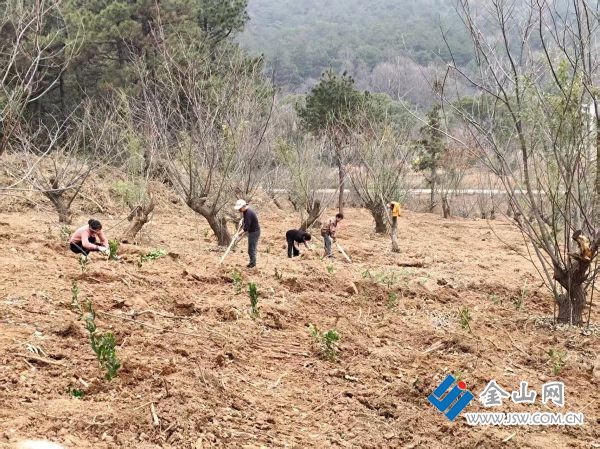 e34baeae548de2ce7071ffc1c2543af