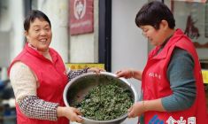 暖心包餛飩 志愿聚同心