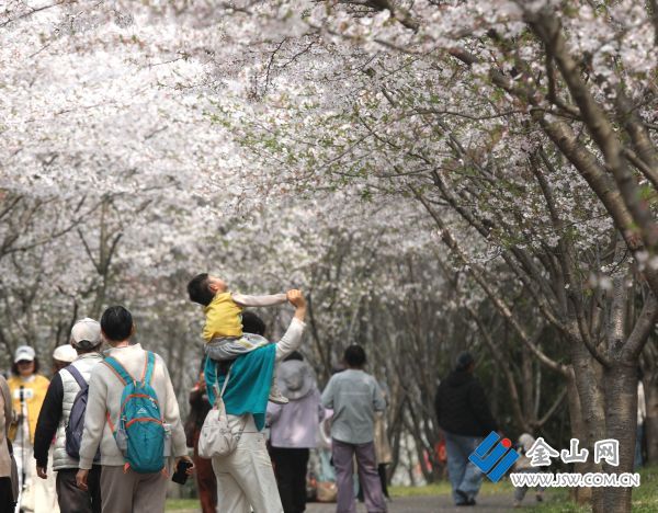 downLoad-20260402064553