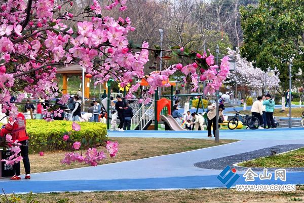 downLoad-20260402073100