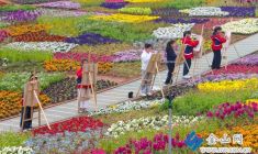 花海叢中繪春天