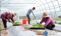 走好鄉(xiāng)村振興幸福路