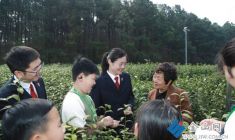 茶香法韻 護(hù)未成長(zhǎng)