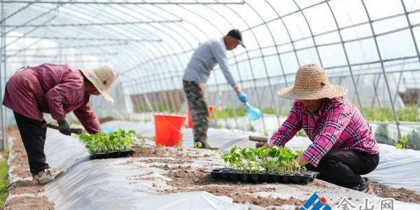 走好鄉(xiāng)村振興幸福路