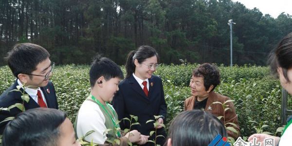 茶香法韻 護未成長