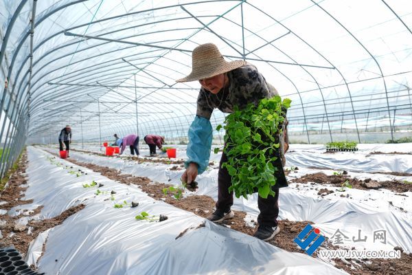 downLoad-20260403065601