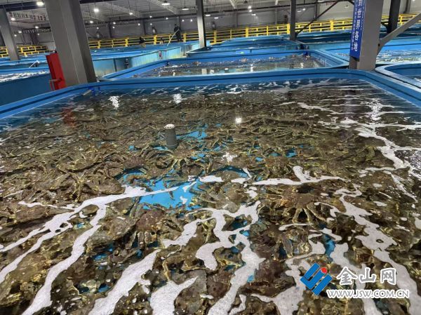 downLoad-20260403070216