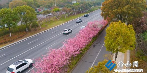 鎮(zhèn)江“花路”地圖如約上線