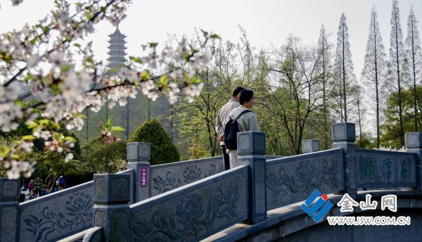 downLoad-20260406073444