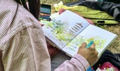 焦山清明踏青樂翻天