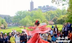 況是清明好天氣 不妨游衍莫忘歸