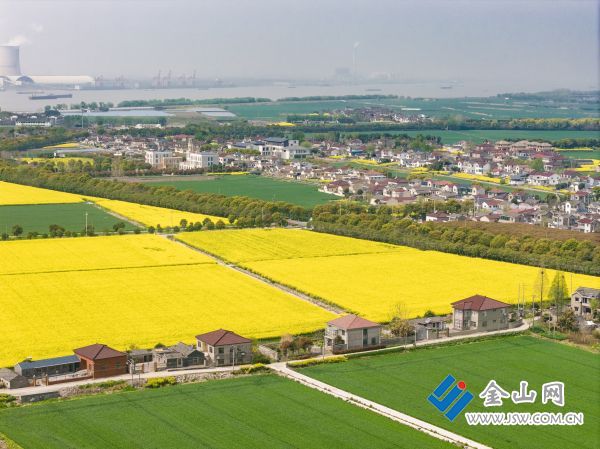 downLoad-20260407065720