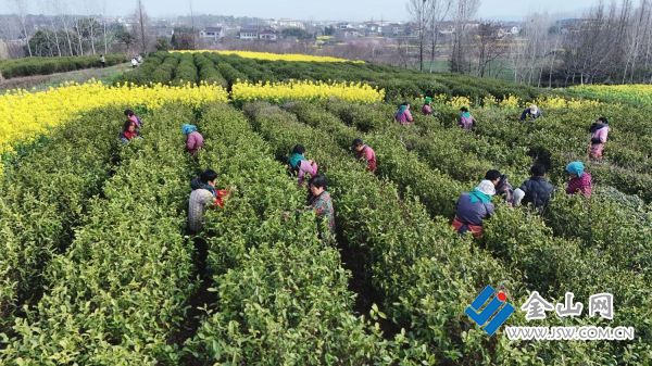 downLoad-20260407071405