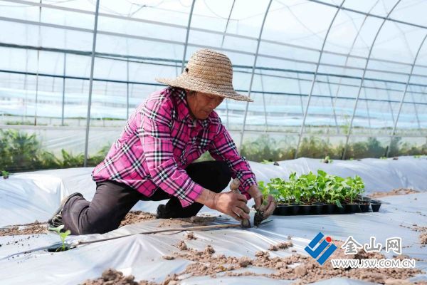 downLoad-20260407071459