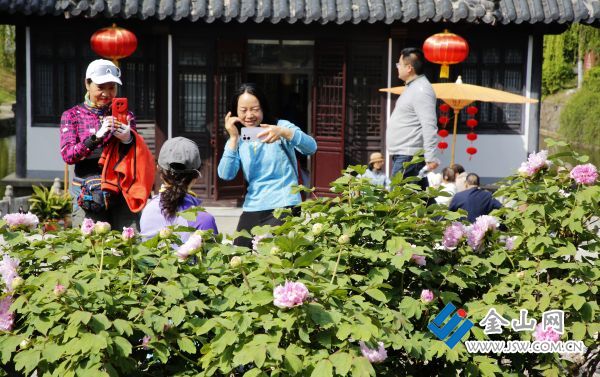 downLoad-20260408073646