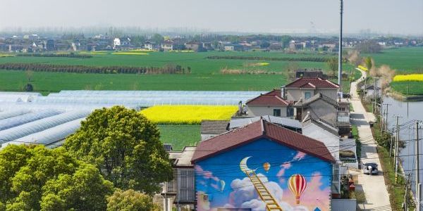 河清岸綠繪和美鄉(xiāng)村新畫卷