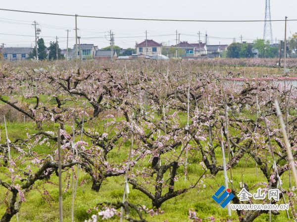 downLoad-20260409065151