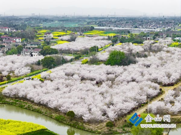 downLoad-20260410070316