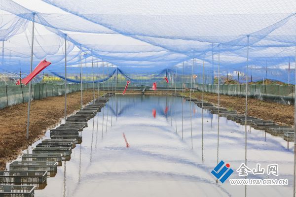 downLoad-20260410082028