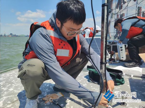 aed382c027304998974b2cad4dd69cf8