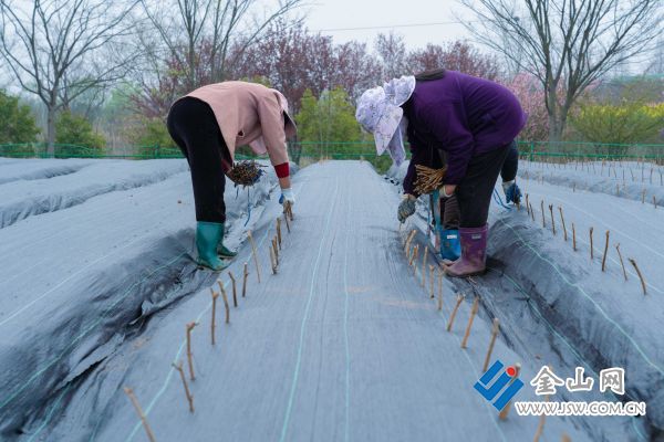 5bd4f6b5271604badcc7379954510c1