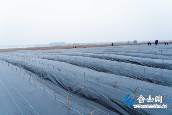 ff4371c1ea0cd25ad8dda5bb8a95181