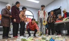 “套”住快樂 “蔬”送溫暖